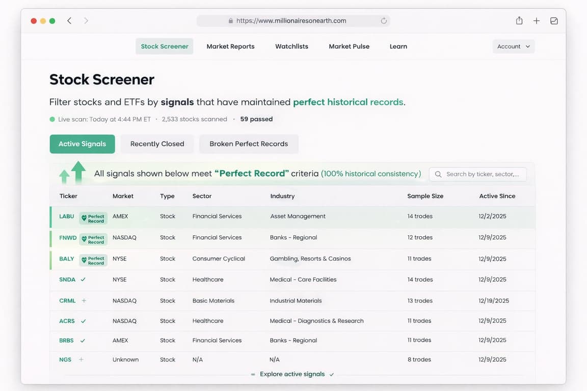 Stock Screener Dashboard Preview